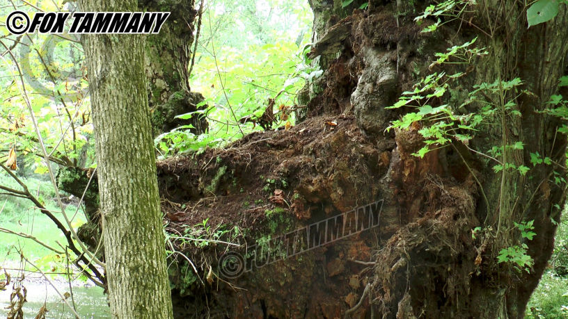 Chapter 02: The Demon On The River