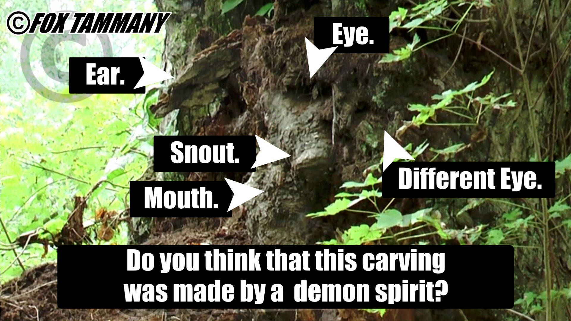 Demon Face Carving 